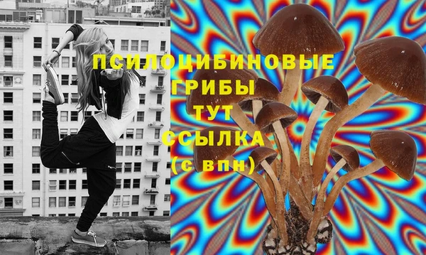 соль курить ск Надым