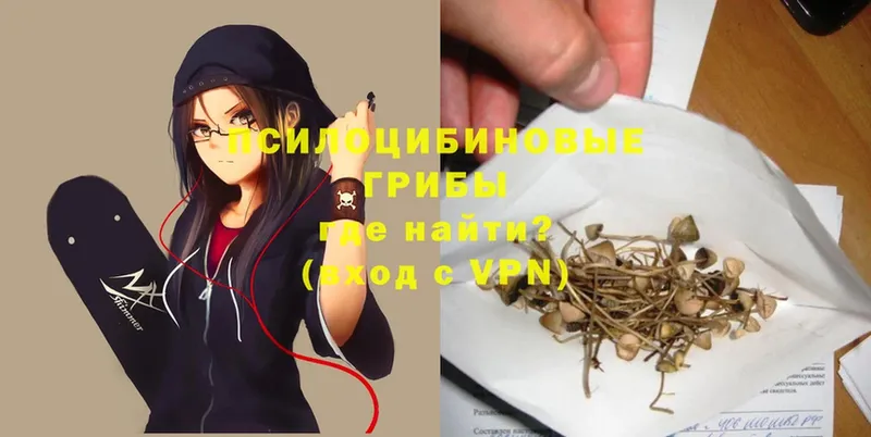 Псилоцибиновые грибы Psilocybine cubensis  Шагонар 