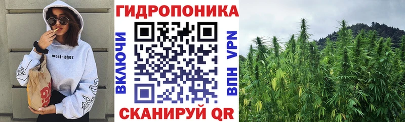 MEGA как войти  Шагонар  Бошки марихуана THC 21% 